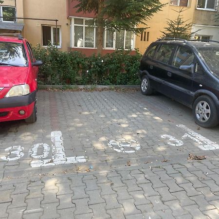 Kitty Sunflower Apartment Алба-Юлия Экстерьер фото