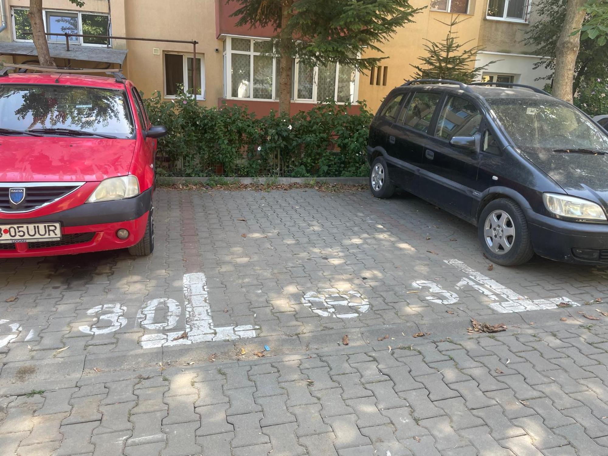 Kitty Sunflower Apartment Алба-Юлия Экстерьер фото